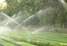 Murrabit Westlandscaping-water-management-and-drainage-17.jpg; ?>